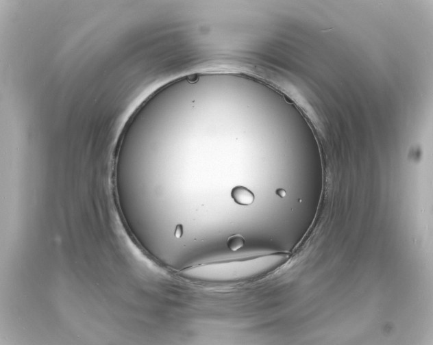 X0000093601484200711051148