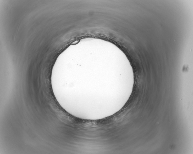 X0000093601489200711051147