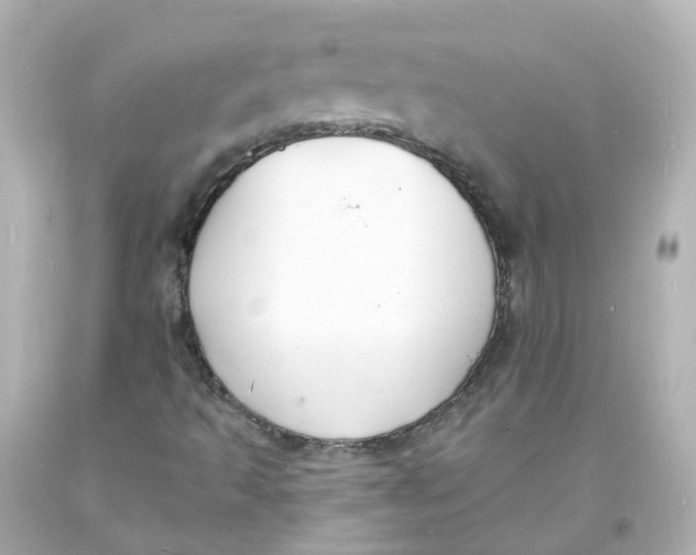 X0000093601493200711051147