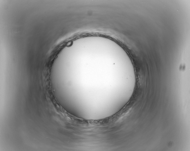 X0000093601494200711051147