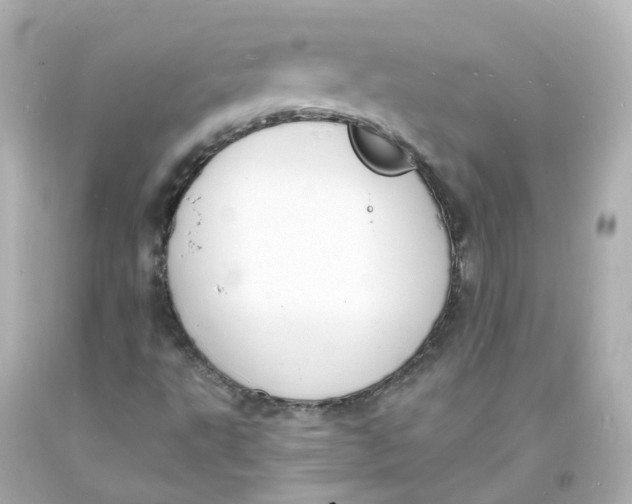 X0000093601495200711051147