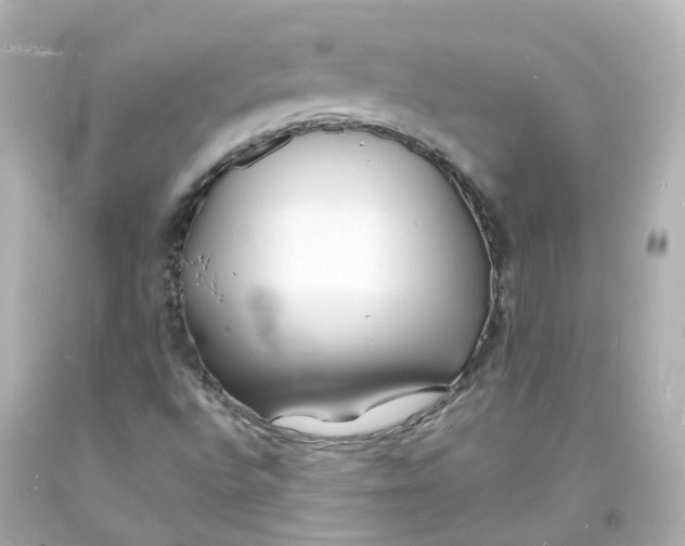 X0000093601496200711051147