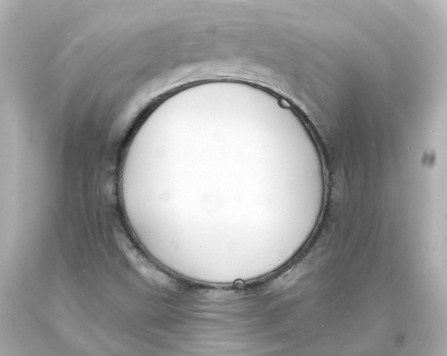 X0000093601499200711051147