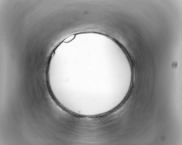 X0000093601500200711051147