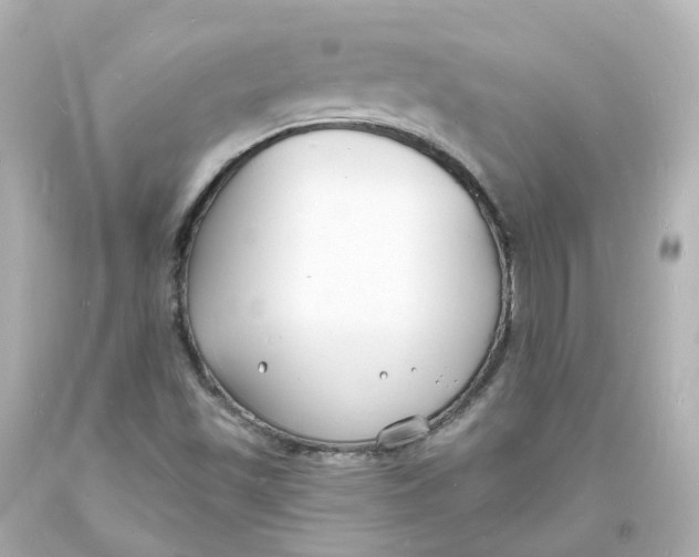 X0000093601501200711051147