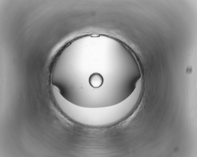 X0000093601502200711051147