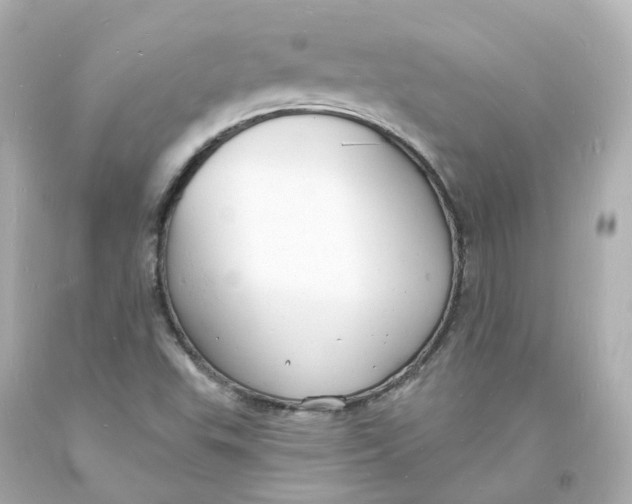 X0000093601503200711051147