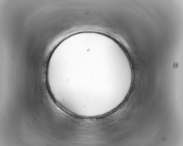 X0000093601504200711051148