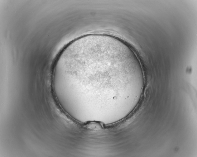 X0000093601506200711051148