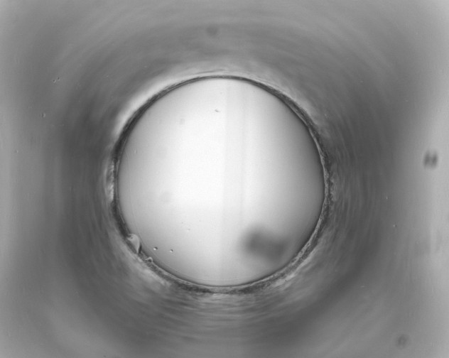 X0000093601510200711051148