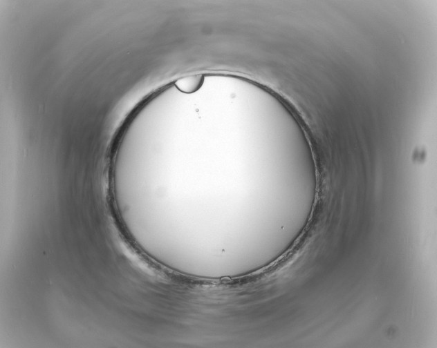 X0000093601511200711051148