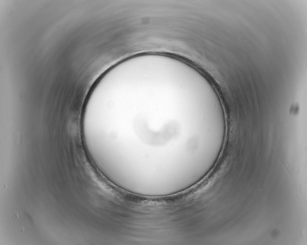 X0000093601513200711051148