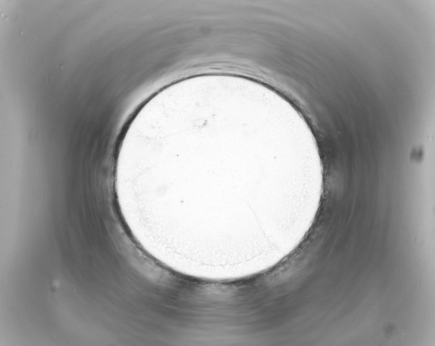 X0000093601514200711051148