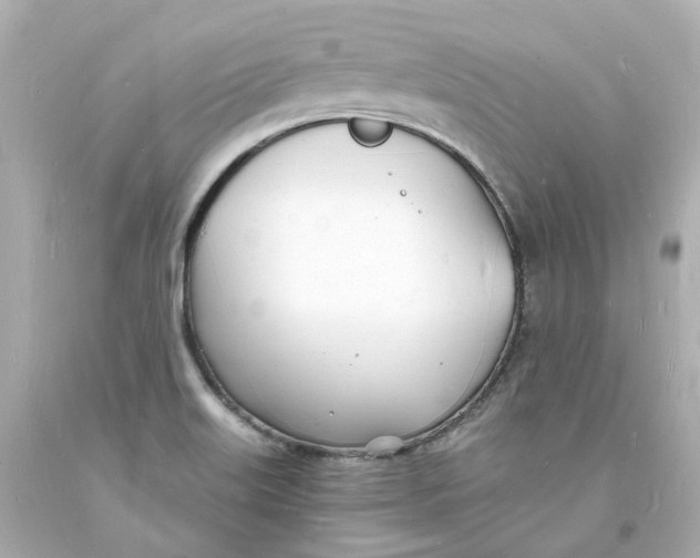 X0000093601515200711051148