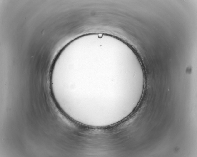 X0000093601517200711051148