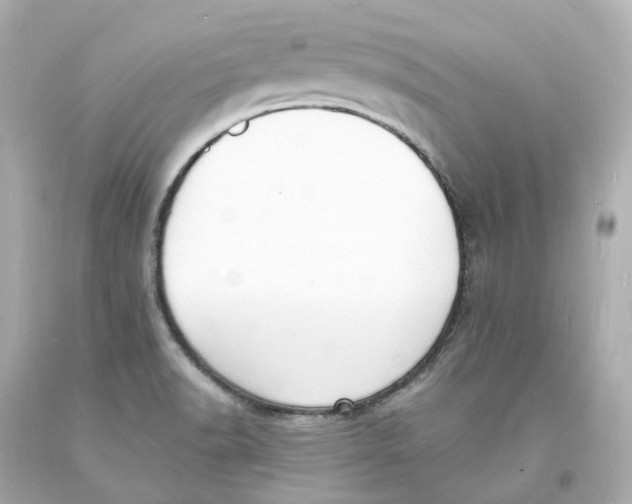 X0000093601518200711051148