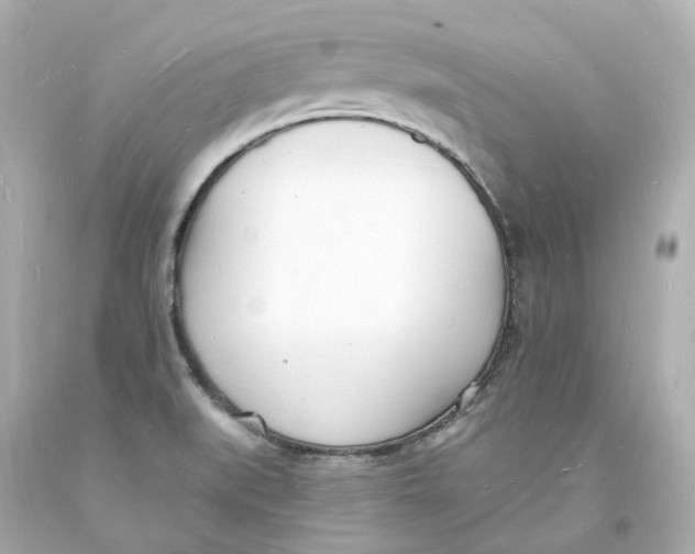 X0000093601519200711051148