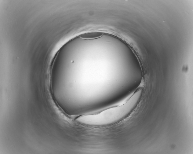 X0000093601520200711051148