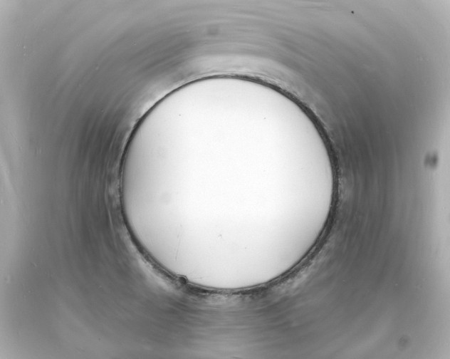 X0000093601521200711051148