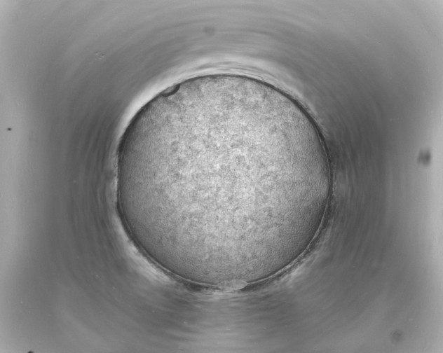 X0000093601522200711051148