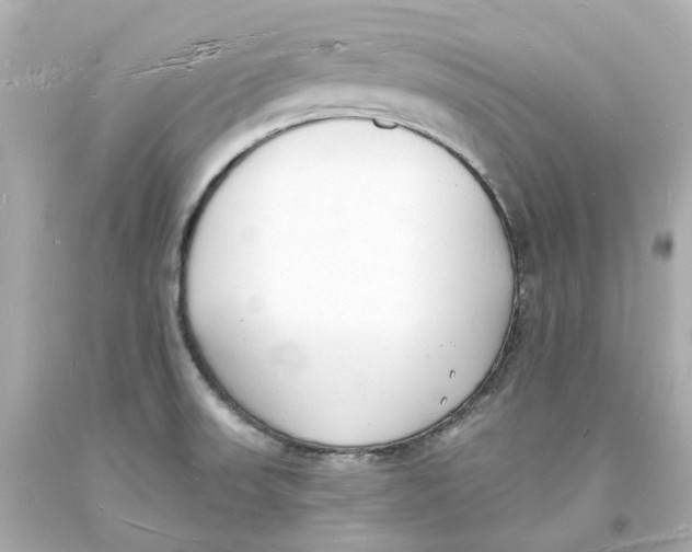 X0000093601523200711051148