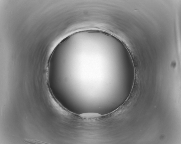 X0000093601524200711051148