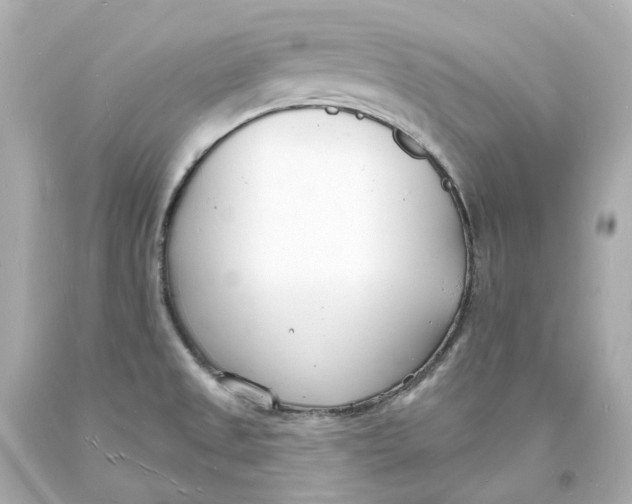 X0000093601525200711051148