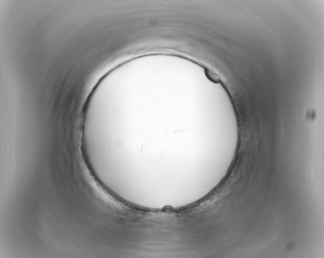 X0000093601526200711051148