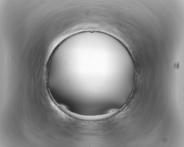 X0000093601527200711051148