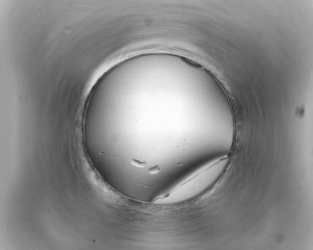 X0000093601530200711051148