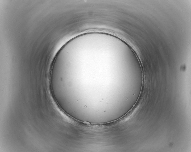 X0000093601533200711051148