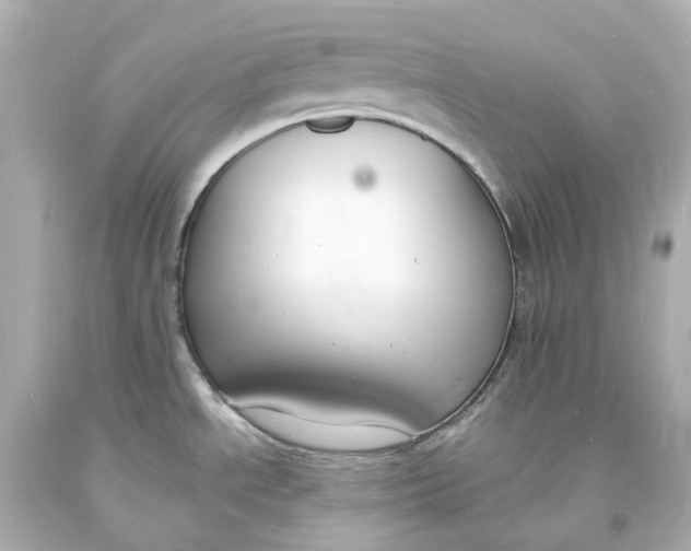 X0000093601534200711051148