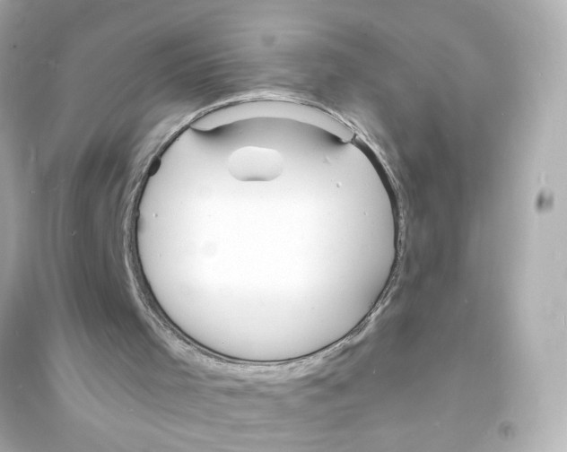 X0000093600001200711121159