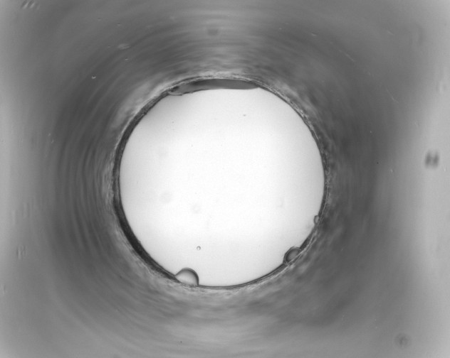 X0000093600002200711121159