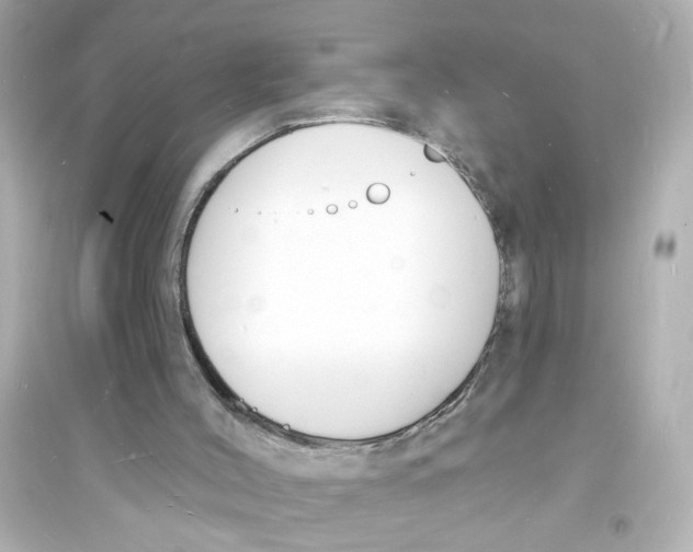 X0000093600004200711121159