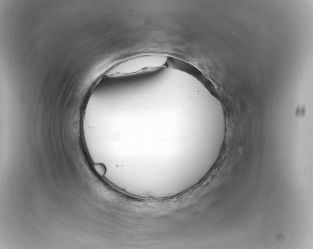 X0000093600005200711121159