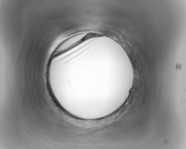 X0000093600006200711121159