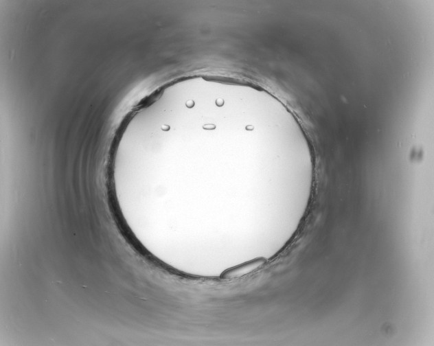 X0000093600007200711121159