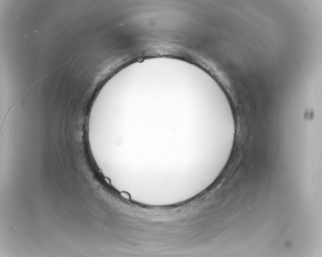 X0000093600010200711121159