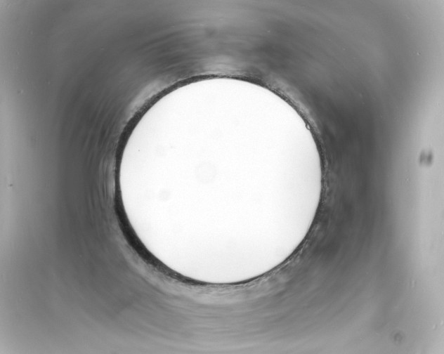 X0000093600011200711121159