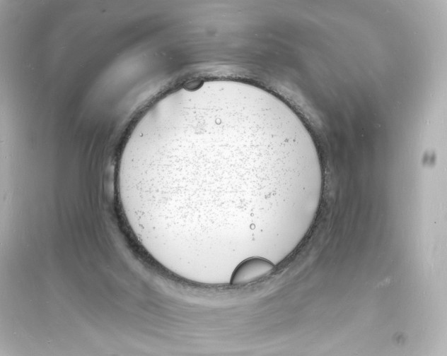 X0000093600014200711121159