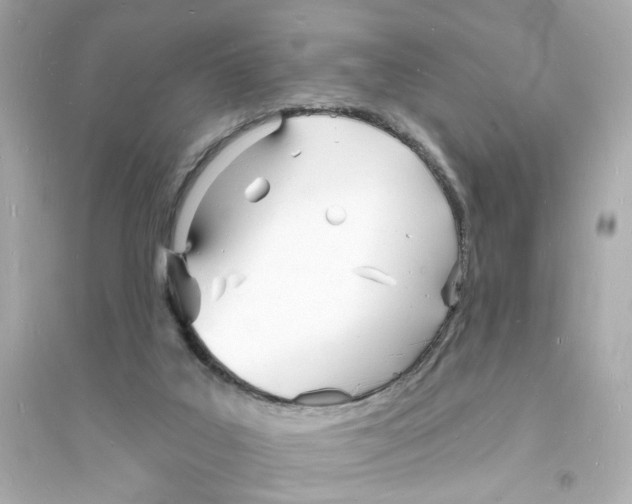 X0000093600019200711121159