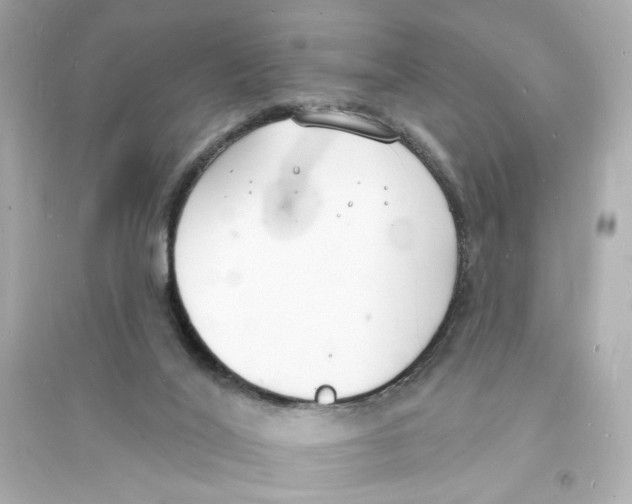 X0000093600020200711121159