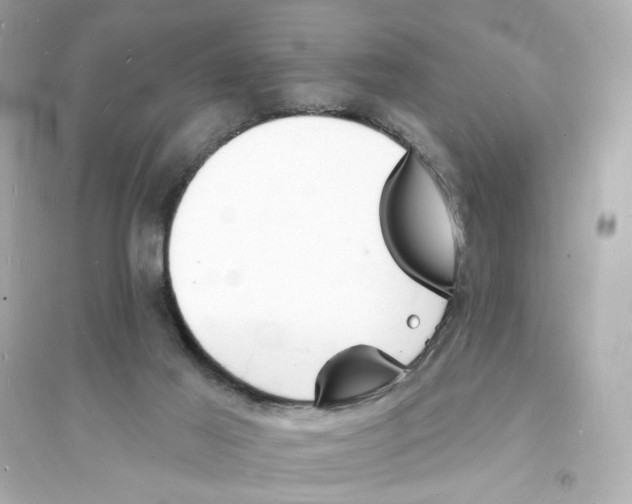 X0000093600021200711121159