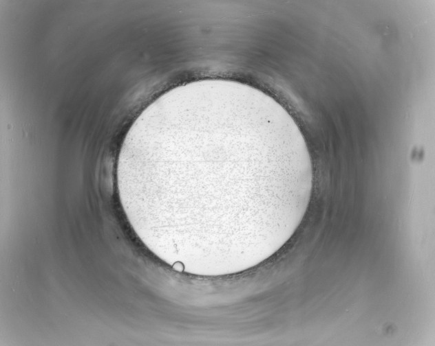 X0000093600022200711121159