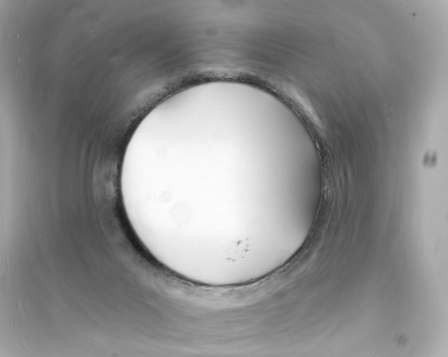 X0000093600023200711121159