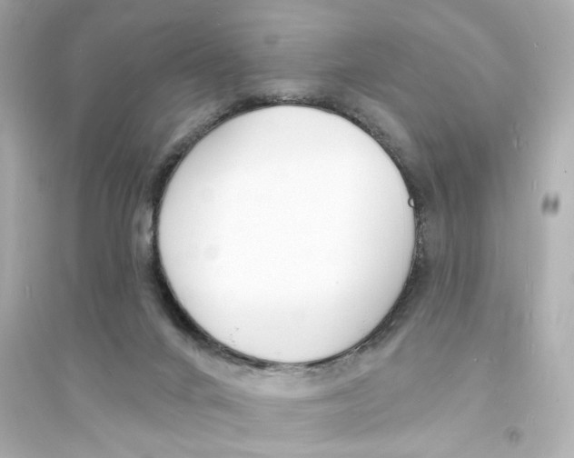 X0000093600024200711121159