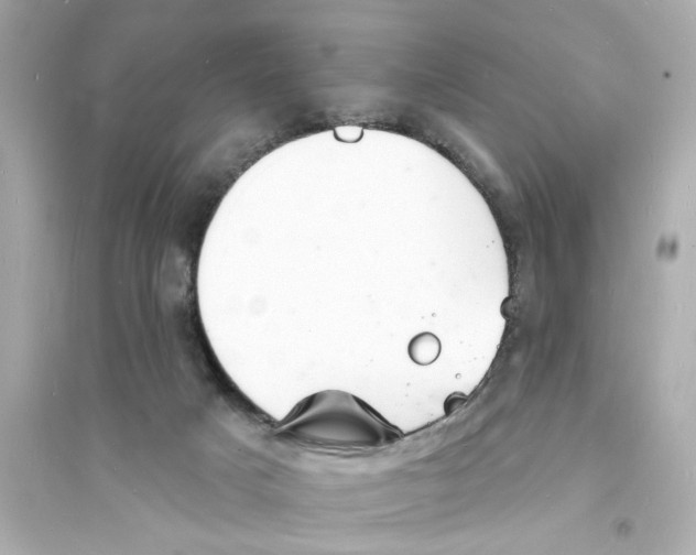 X0000093600025200711121159