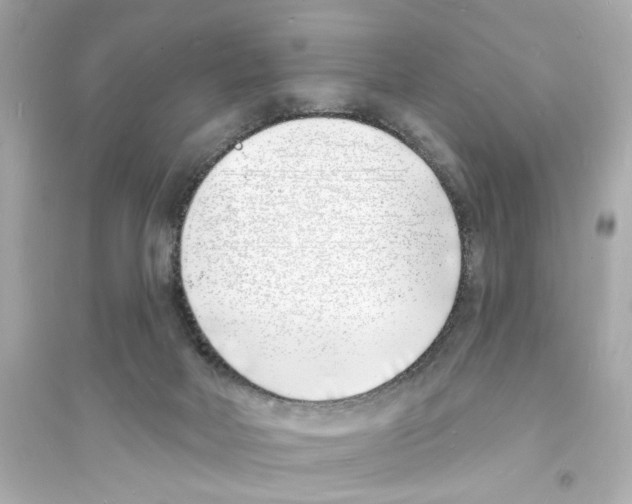 X0000093600026200711121159