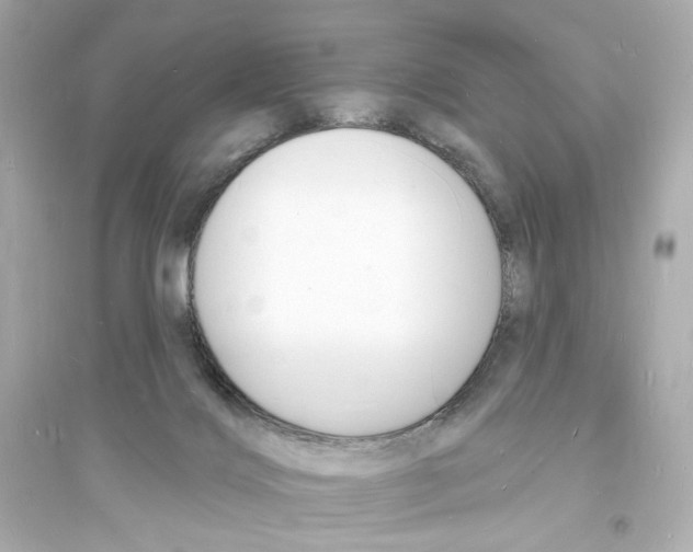 X0000093600028200711121159